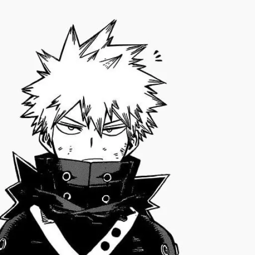 katsuki bakugo