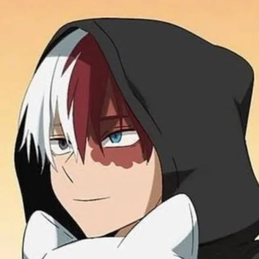 Shoto Todoroki {Voll ◇1}