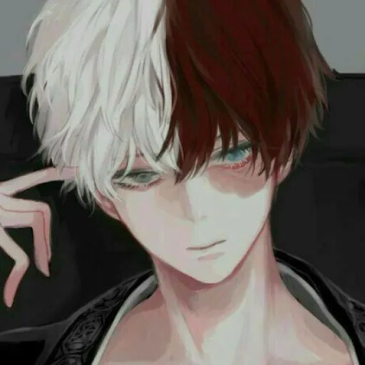 Todoroki Shoto