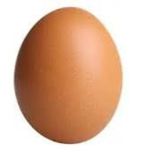 EGG