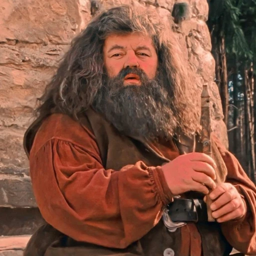 ~°Rúbeo Hagrid°~