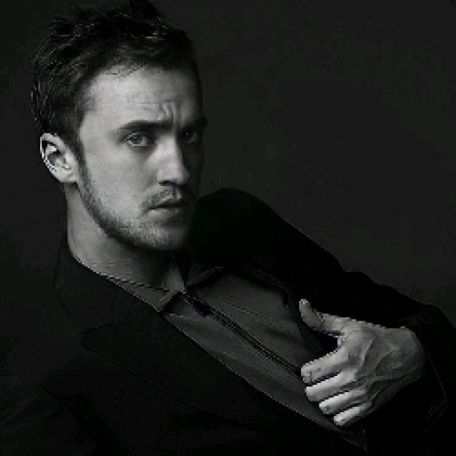 Draco Lucius Malfoy 4