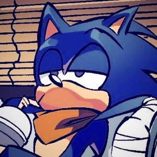 ➽Sonic Boom ♡💌