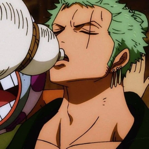 ~zoro~
