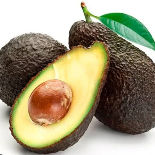 Avocado