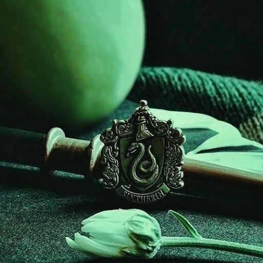 Draco Malfoy.