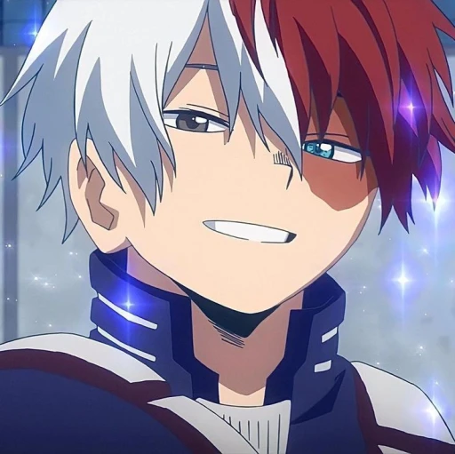Shoto Todoroki