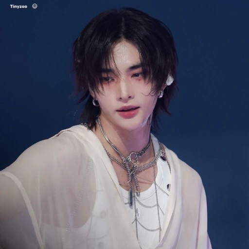 —☆*:・ﾟHwang Hyunjin.