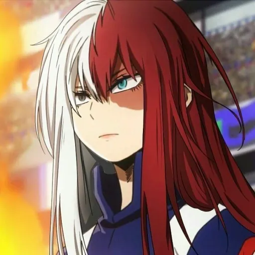 Shouko Todoroki