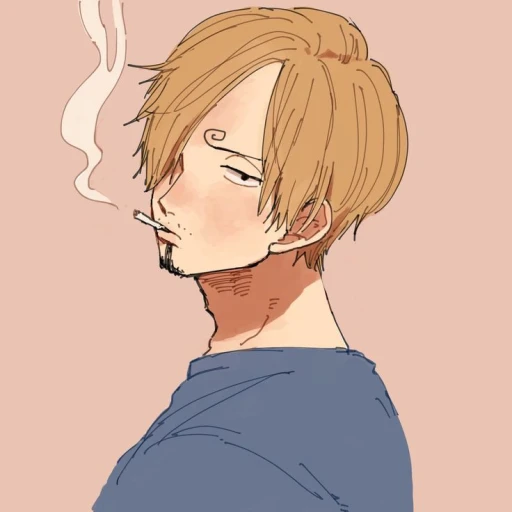 📚`` Vinsmoke Sanji!