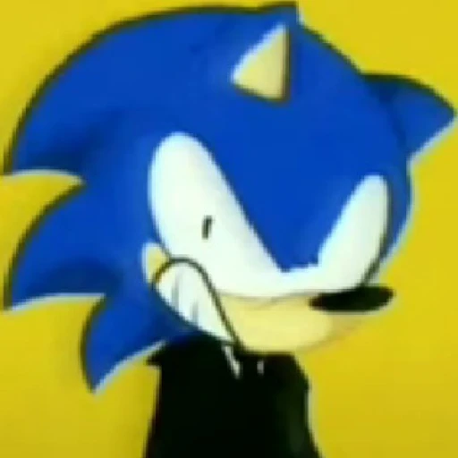 The director of SEGA JAPAN