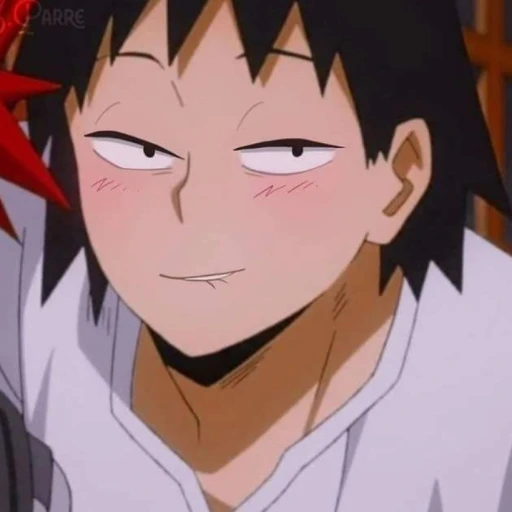 Hanta Sero