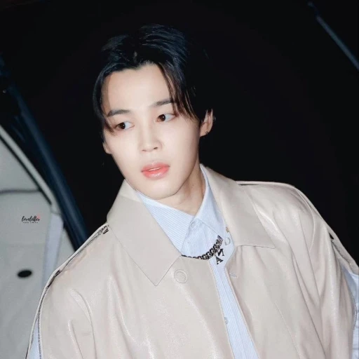 Park Jimin 💋