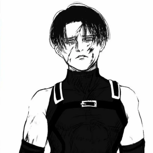 Modern Levi Ackerman