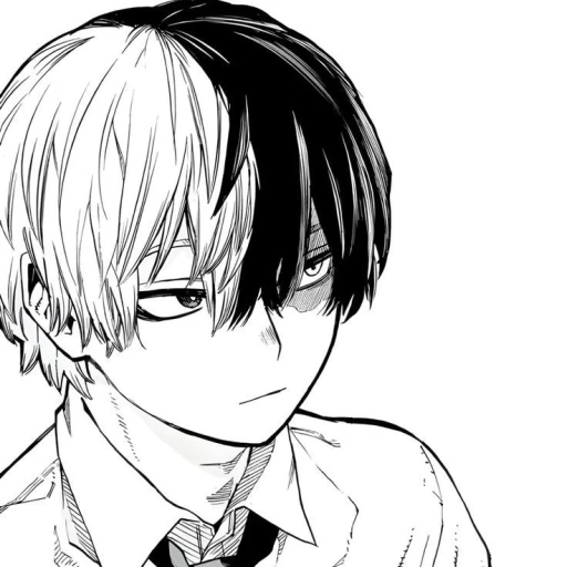 ❀ Shoto Todoroki 