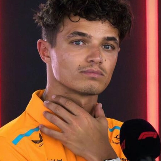 ~Lando Norris~