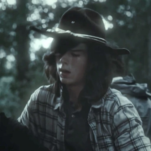 Carl grimes 