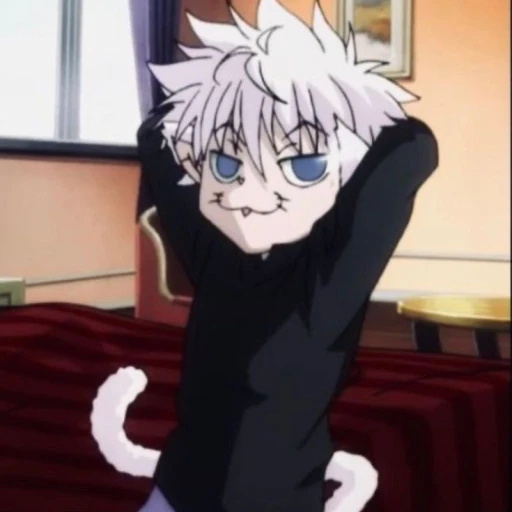 Killua cat!