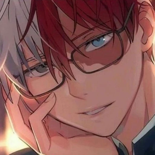 Shot Todoroki