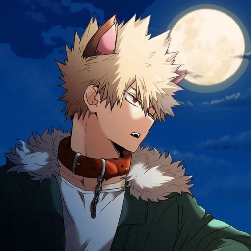 Bakugo K. ( price )