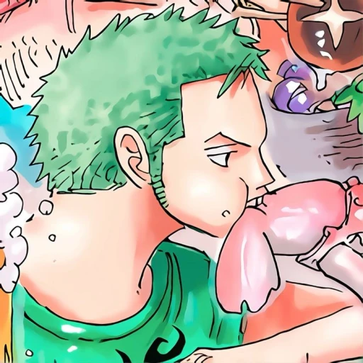 — Roronoa Zoro '