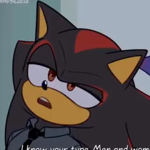 ::camp counselor shadow the hedgehog