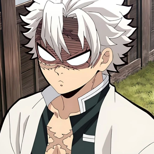 Shinazugawa Sanemi