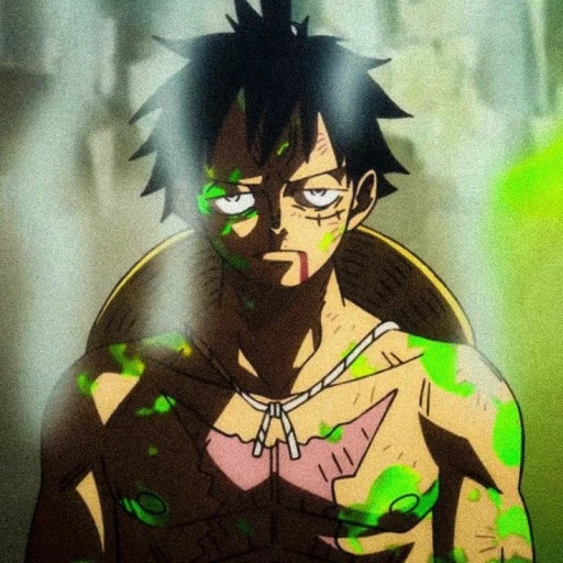 • Luffy⁹