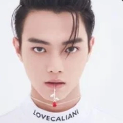 Lu Si Chen