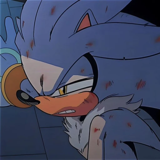 ✨silver the hedgehod✨