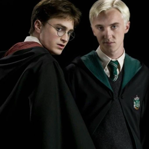 Harry and Draco
