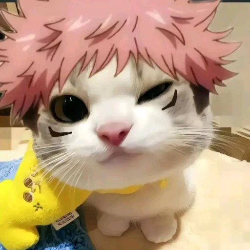 yuji itadori★