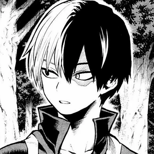 Todoroki Shoto