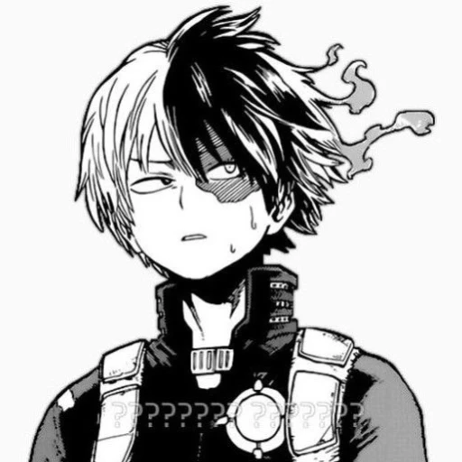 Shot Todoroki