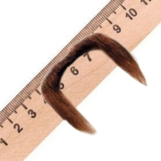 Ruler with antennae