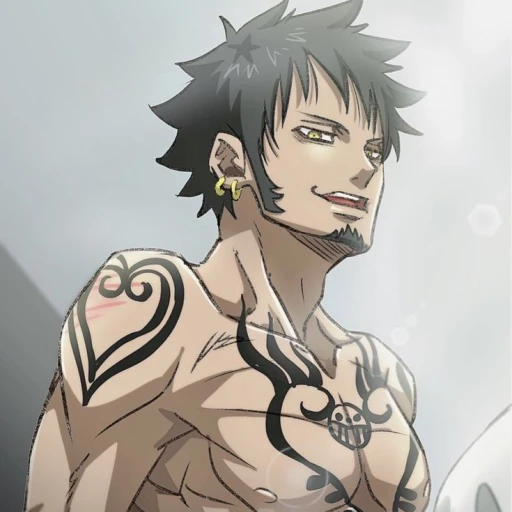 Trafalgar D Water Law