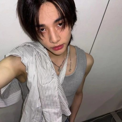 Hyunjin ( Hyunlix )