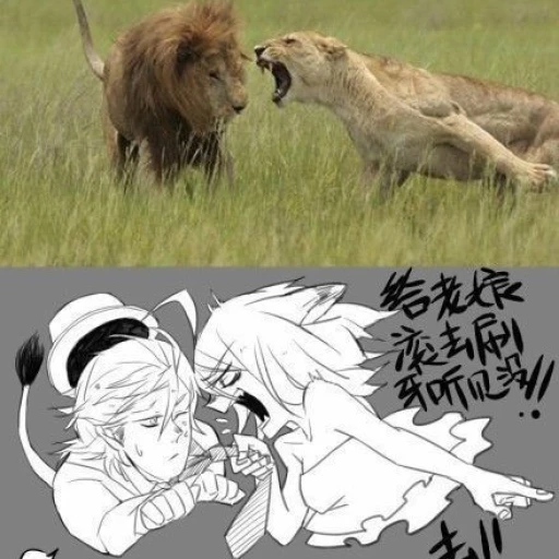 Emilia (dominant lioness wife)