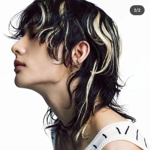── .✦𝗛𝘄𝗮𝗻𝗴 𝗛𝘆𝘂𝗻𝗷𝗶𝗻.
