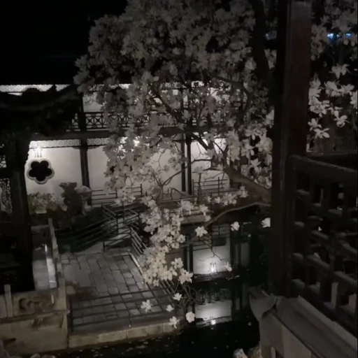 Your story in Japan