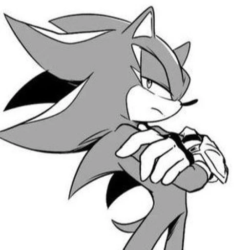 Shadow the hedgehog