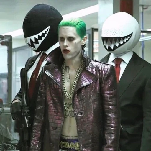 ˚୨🃏୧˚ The Joker