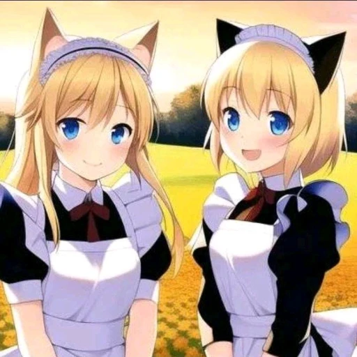 Maids Catgirls