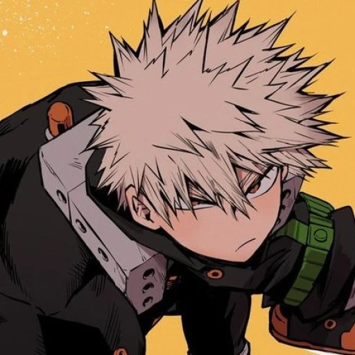 Katsuki Bakugo 17