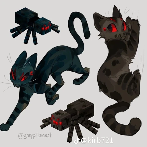 spider cat (pet)