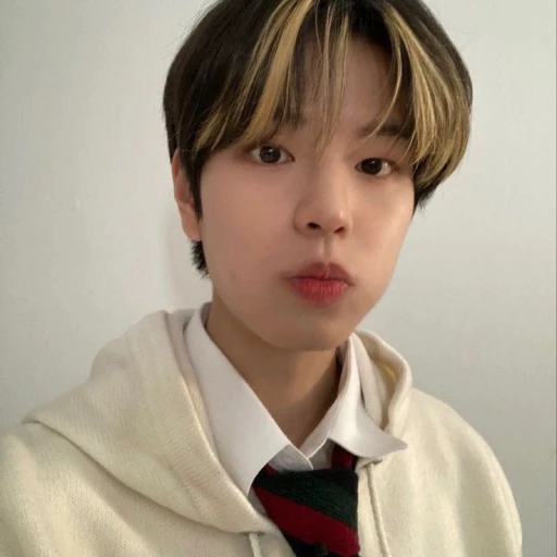 Kim Seungmin