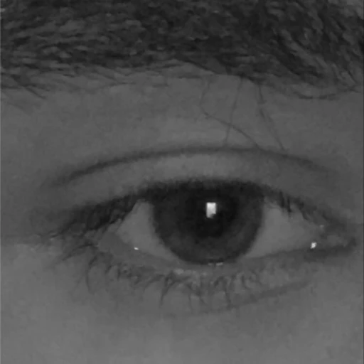 Joalex