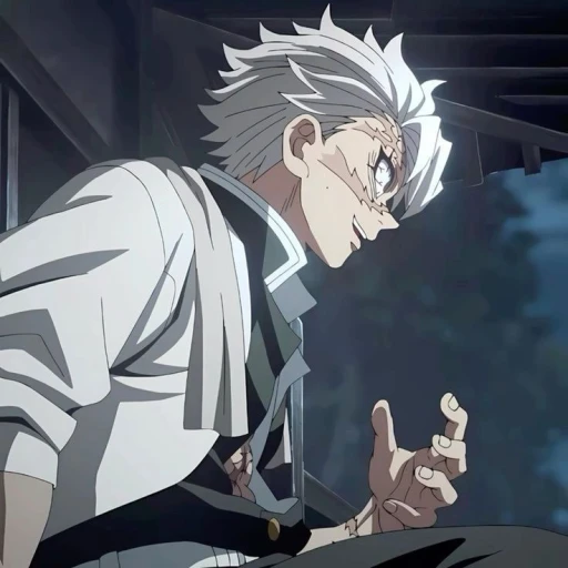 🍂 || Sanemi Shinazugawa