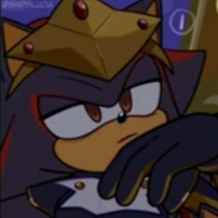 ::shadow the hedgehog king