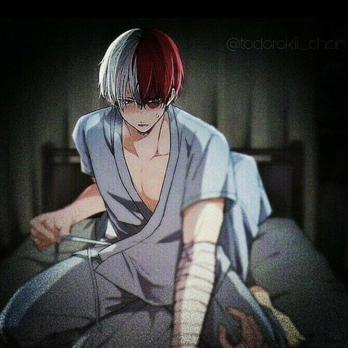 Shoto 🔥❄️